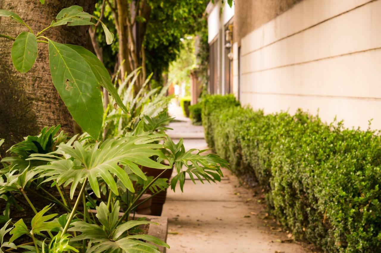 Suite 5A, Altavista, Garden House, Welcome To San Angel Mexico City Exterior photo